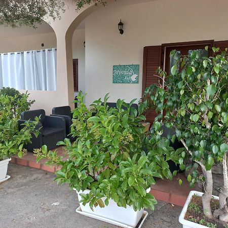 Mivida "Le Stanze Di Ada" Bed and Breakfast San Teodoro  Εξωτερικό φωτογραφία