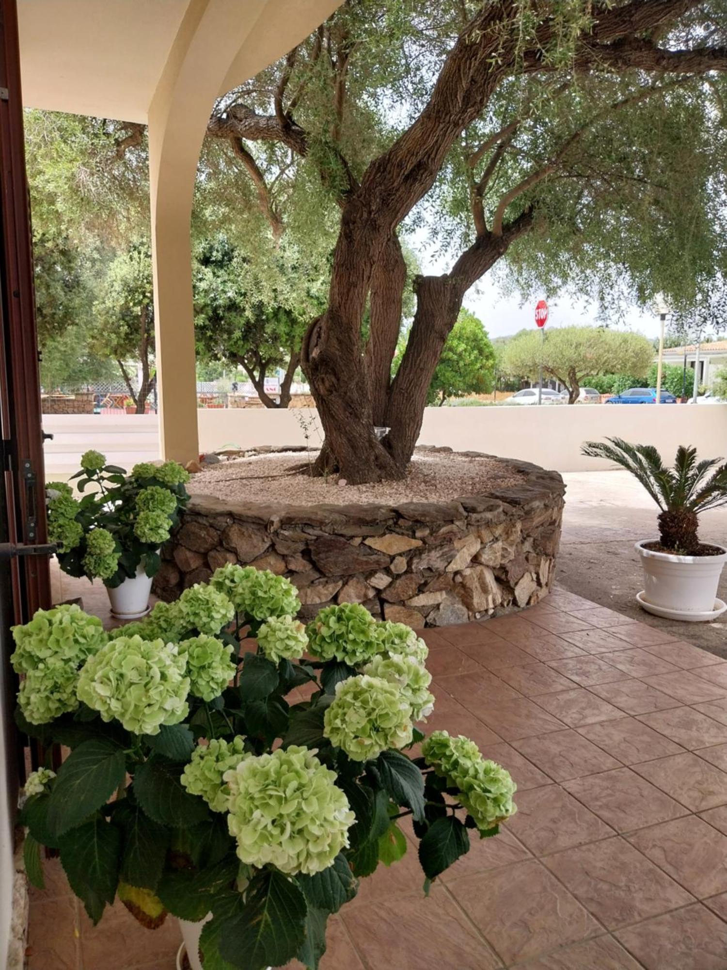 Mivida "Le Stanze Di Ada" Bed and Breakfast San Teodoro  Εξωτερικό φωτογραφία