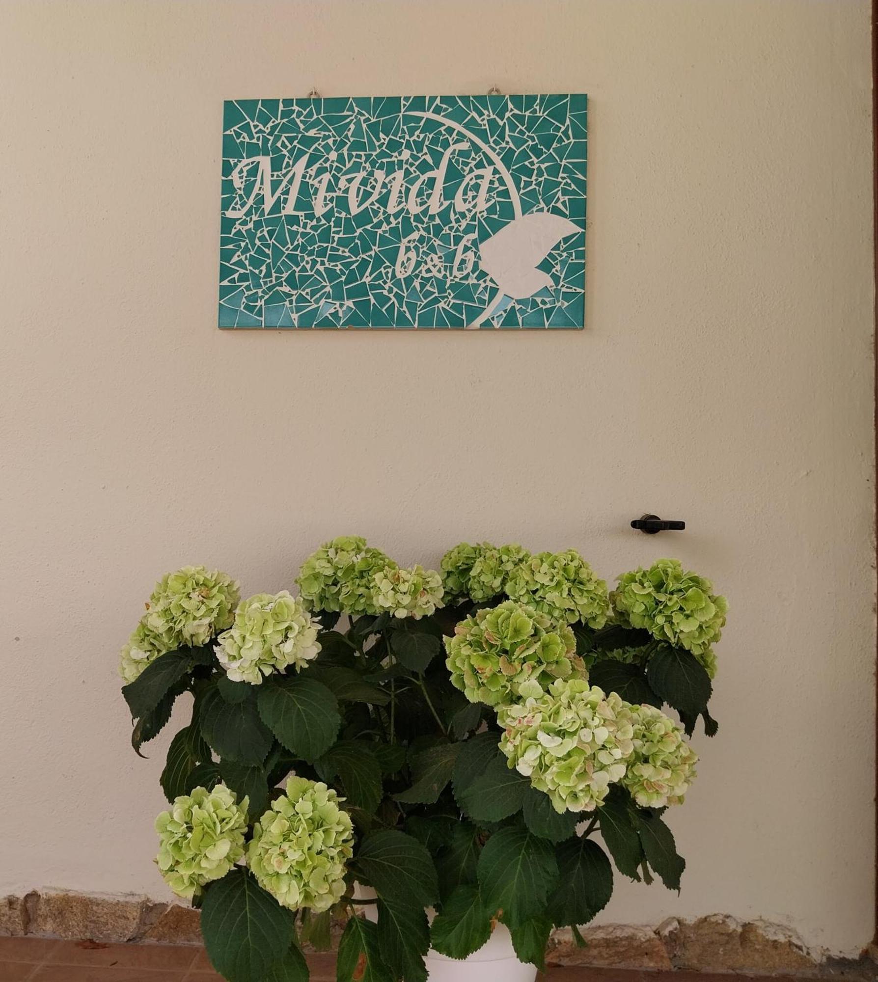 Mivida "Le Stanze Di Ada" Bed and Breakfast San Teodoro  Εξωτερικό φωτογραφία